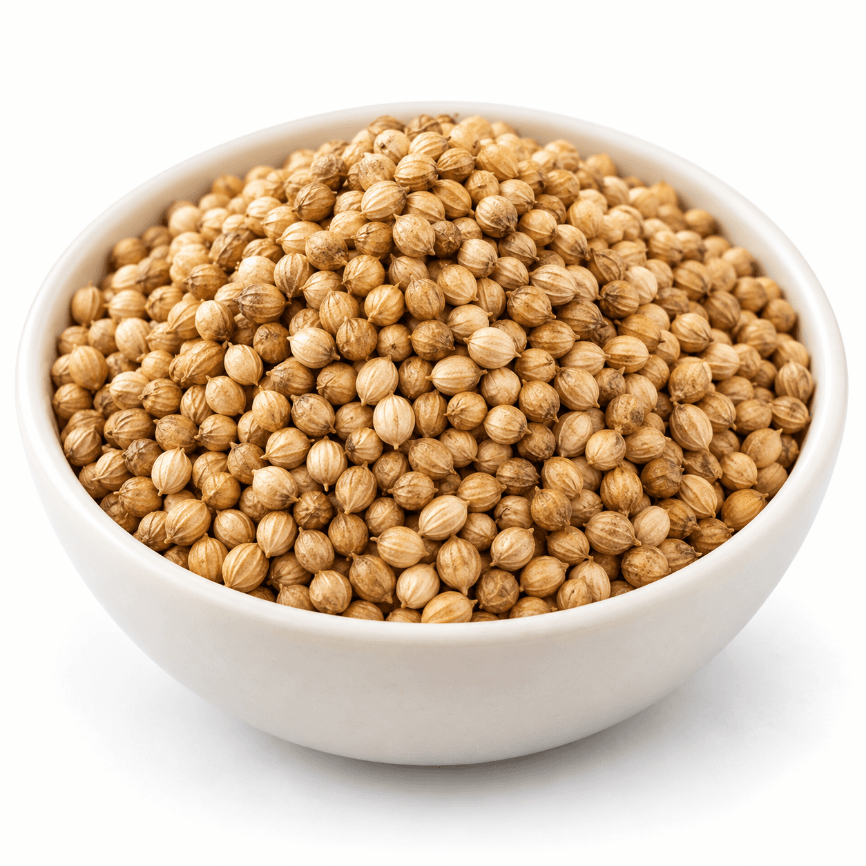Coriander Seeds