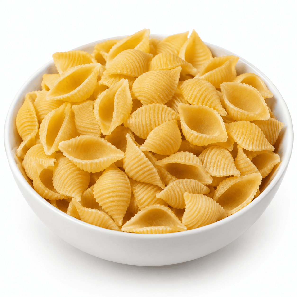 Conchiglie / Medium Shells Pasta