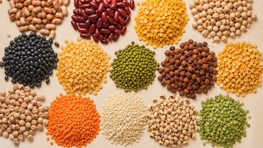 Beyond Lentils: A Buyer's Guide to India's Major Pulse Varieties